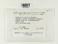 Media resource of Botrytis convoluta