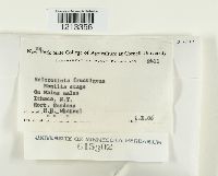 Image Associated With the Occurrence