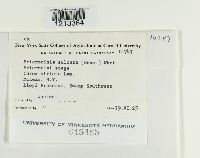 Image Associated With the Occurrence