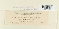 thumbnail image of current specimen
