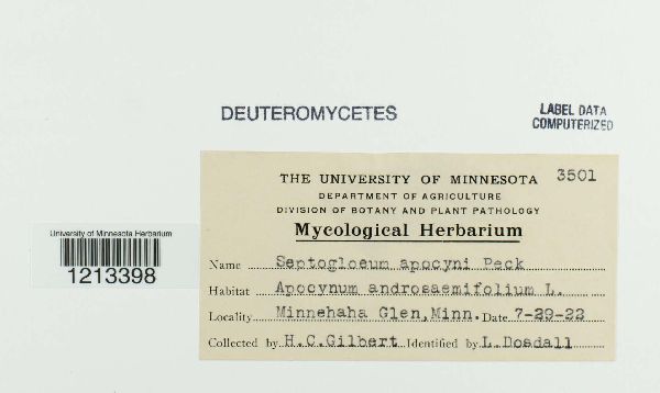 Septogloeum apocyni image