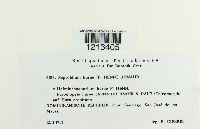 Image Associated With the Occurrence