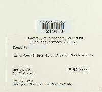 Image Associated With the Occurrence