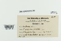 Image Associated With the Occurrence