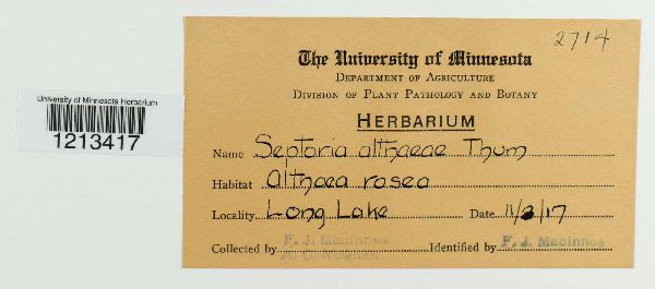 Septoria althaeae image