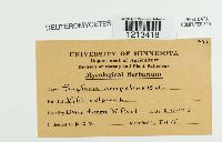 Media resource of Septoria ampelina