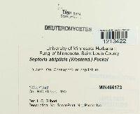 Media resource of Septoria atriplicis