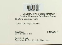 Image Associated With the Occurrence