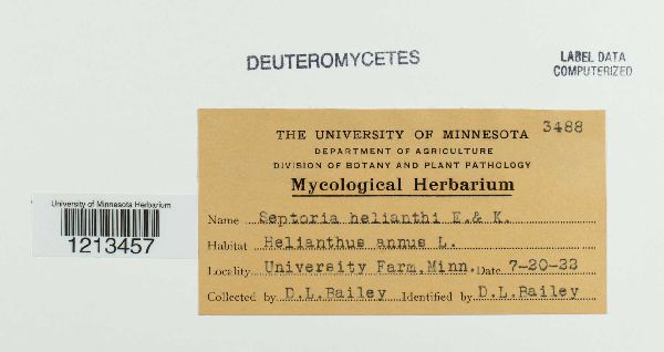 Septoria helianthi image