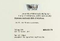 Image Associated With the Occurrence