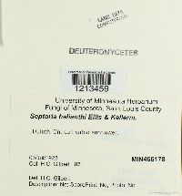 Image Associated With the Occurrence