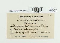 Image Associated With the Occurrence