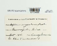 Image Associated With the Occurrence