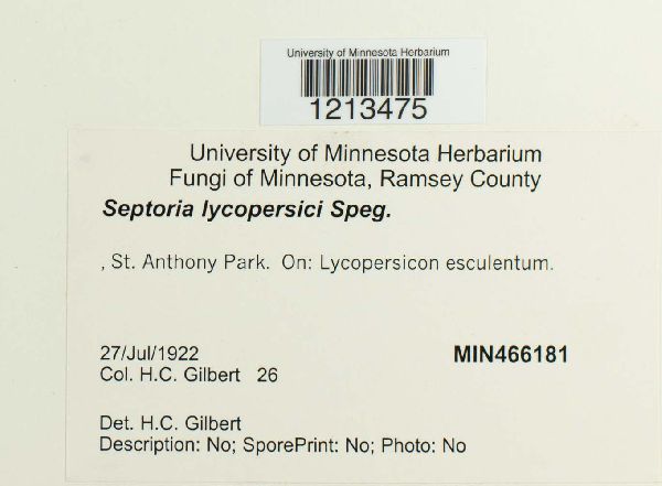 Septoria lycopersici image