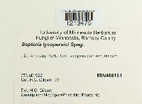 Media resource of Septoria lycopersici