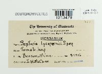 Image Associated With the Occurrence