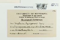 Image Associated With the Occurrence