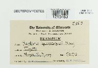 Image Associated With the Occurrence