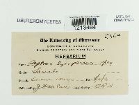 Image Associated With the Occurrence