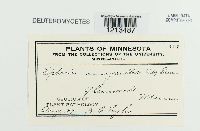 Media resource of Septoria menyanthes