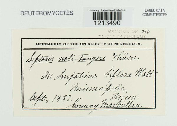 Septoria noli-tangere image