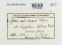 Media resource of Septoria noli-tangere