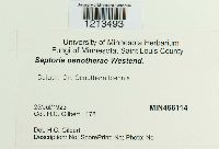 Image Associated With the Occurrence