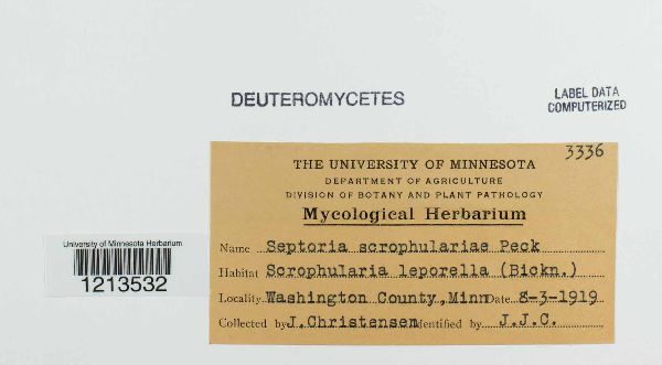 Septoria scrophulariae image