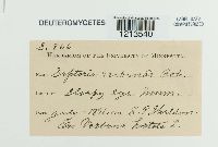 Image Associated With the Occurrence