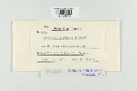 Image Associated With the Occurrence