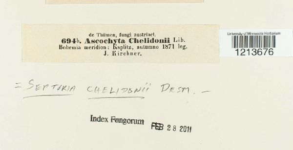 Septoria chelidonii image