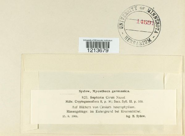 Septoria cirsii image