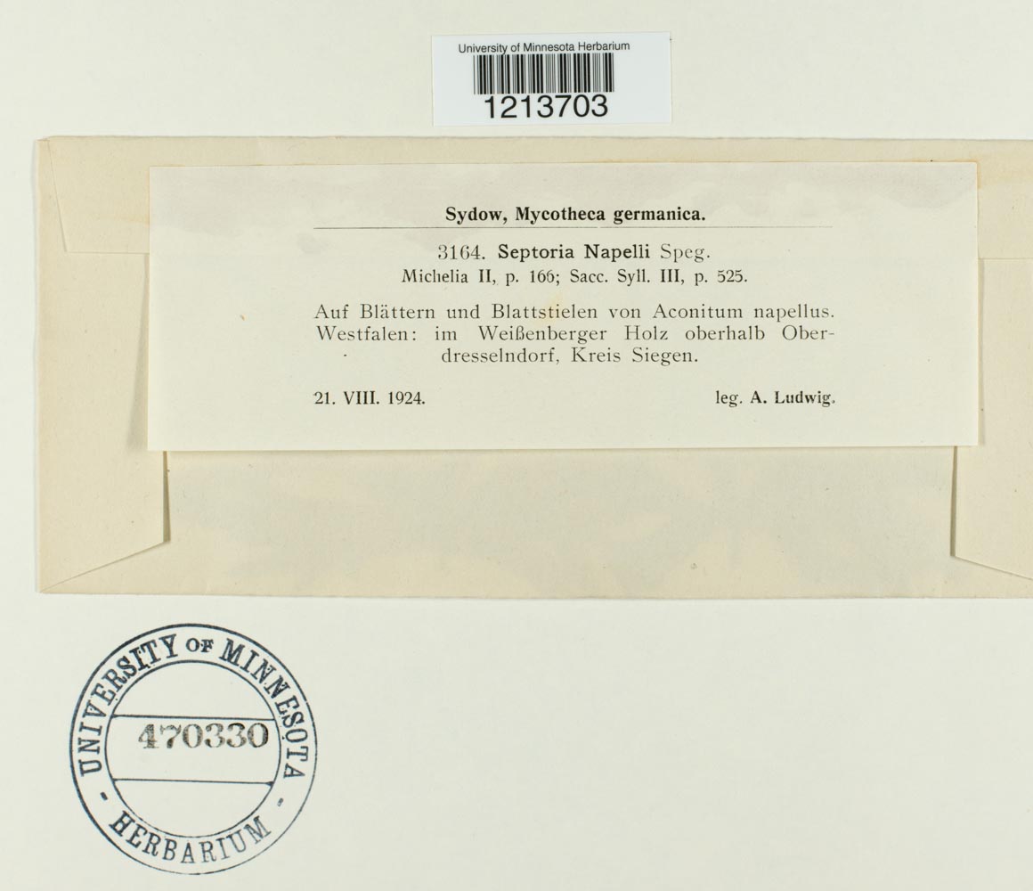 Septoria napelli image