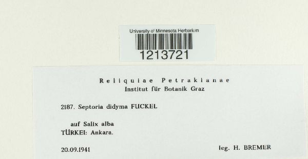 Septoria didyma image