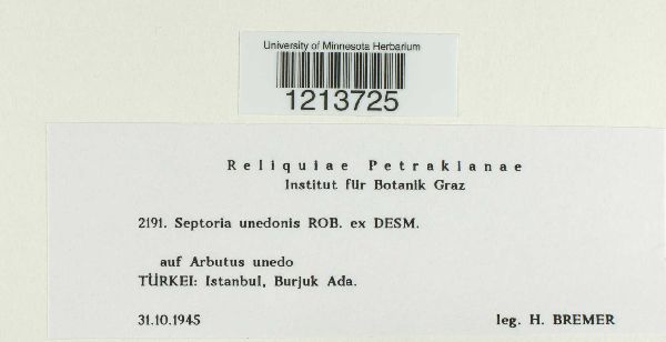 Septoria unedonis image