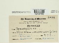 Image Associated With the Occurrence