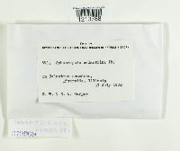 Image Associated With the Occurrence