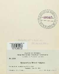 Sphaerotheca humuli image