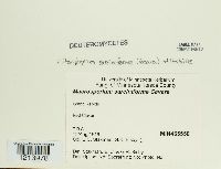 Media resource of Macrosporium sarciniforme