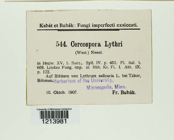 Stenella lythri image