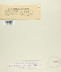 Image Associated With the Occurrence