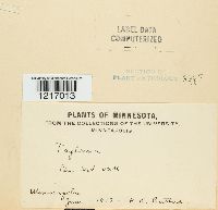 Image Associated With the Occurrence