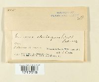 Image Associated With the Occurrence