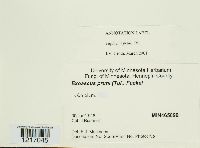 Image Associated With the Occurrence