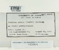 Image Associated With the Occurrence