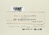 Image Associated With the Occurrence