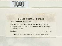 Image Associated With the Occurrence