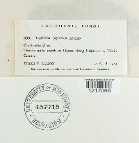 Image Associated With the Occurrence