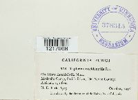 Image Associated With the Occurrence