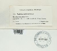 Image Associated With the Occurrence